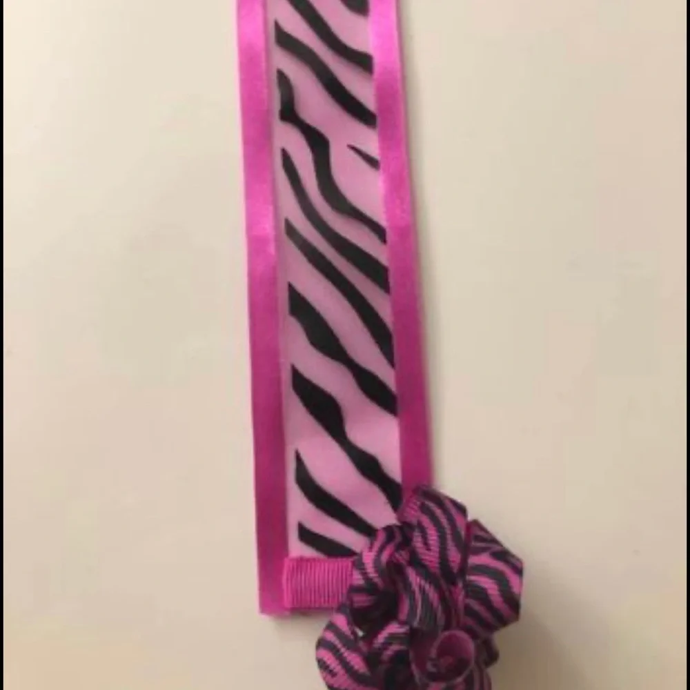 Barrettes hair clip holder